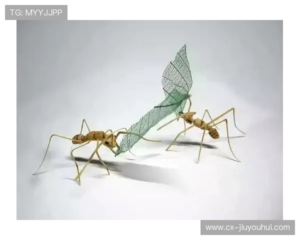 从蚂蚁阵型到蜻蜓进攻看虫子世界里的足球智慧